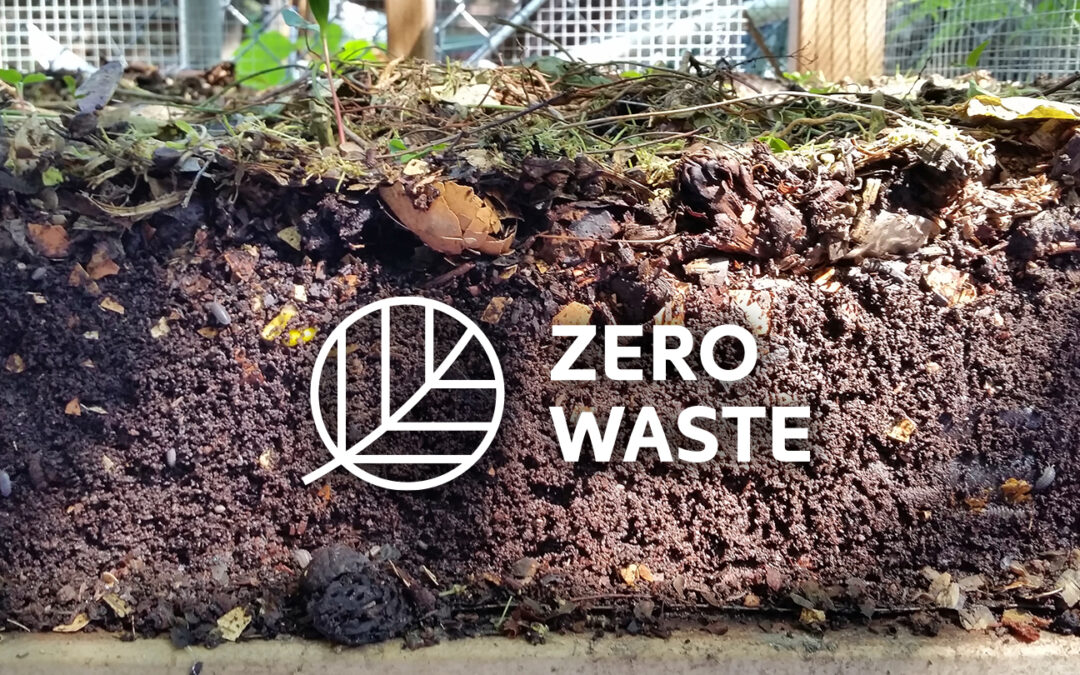 Compostable Materials are the Key to a Zero-Waste Future