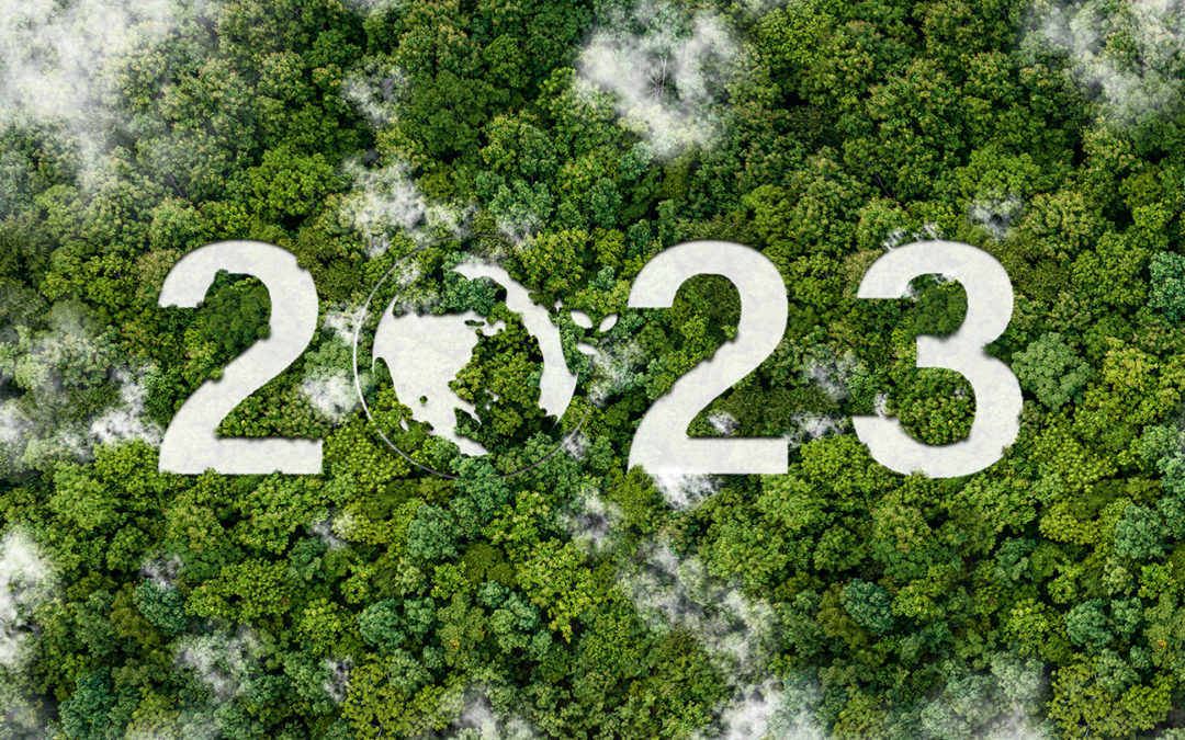 Easy Eco-Friendly Changes for 2023